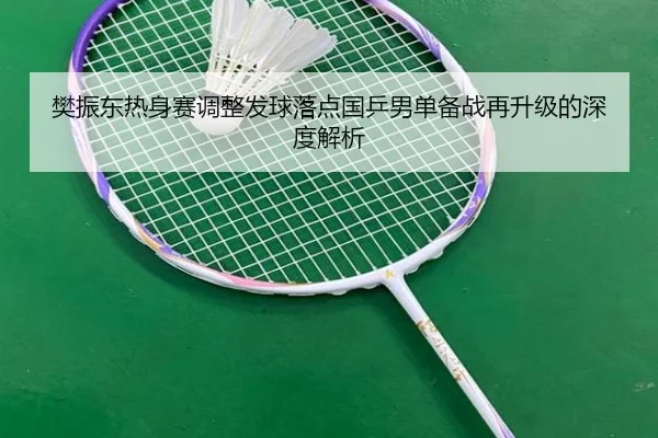 樊振东热身赛调整发球落点国乒男单备战再升级的深度解析（kaiyun）